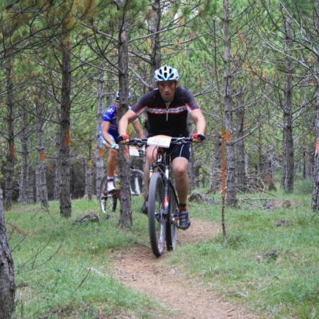 Ver imagen más grande